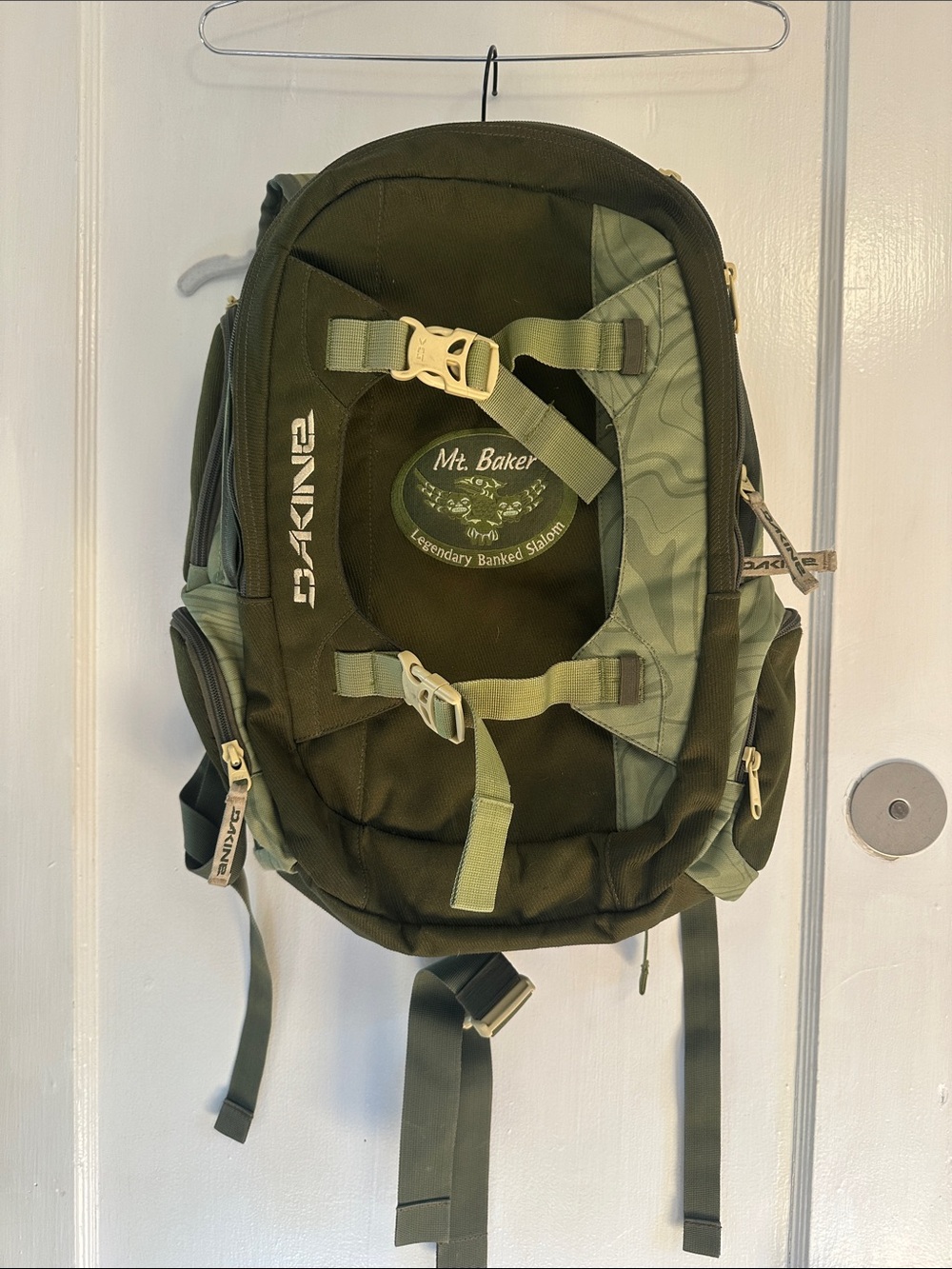 Dakine Olive Green Mt. Baker Daypack with Strap System